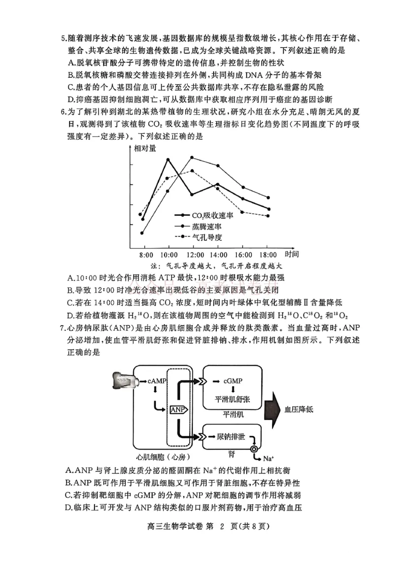 湖北黄冈2026届高三下学期3月模考（二模）生物_2026届湖北省黄冈市高三下学期3月模考（二模）_06生物2026届湖北省黄冈市高三下学期3月模考（二模）