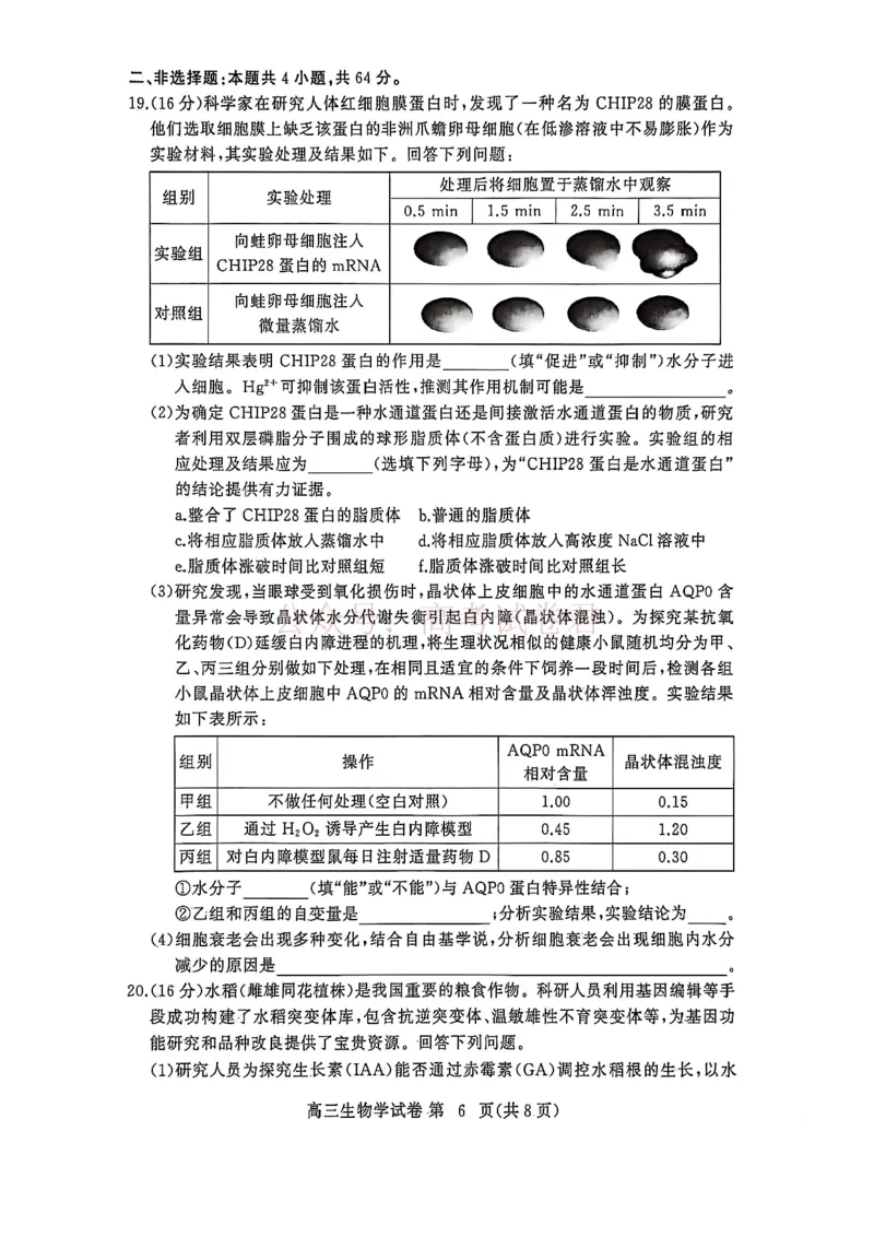 湖北黄冈2026届高三下学期3月模考（二模）生物_2026届湖北省黄冈市高三下学期3月模考（二模）_06生物2026届湖北省黄冈市高三下学期3月模考（二模）