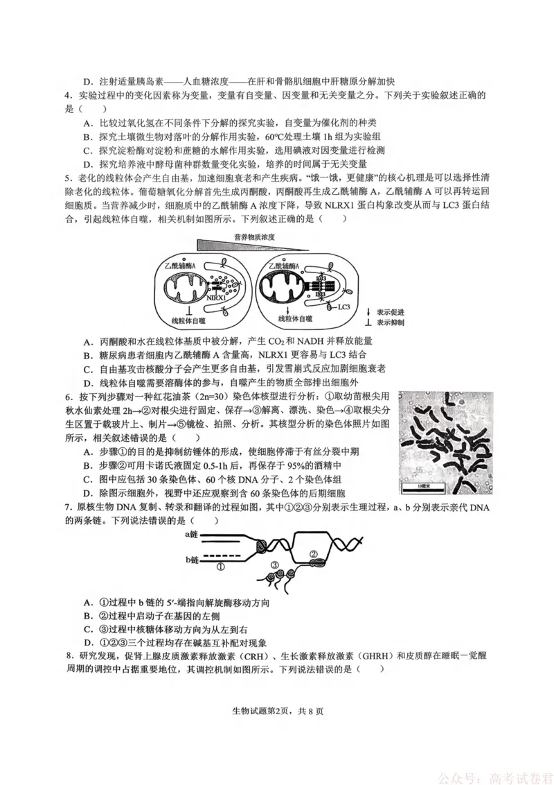 重庆市育才中学校2026届高三下学期2月开学考试生物试题_2026届重庆市育才中学高三下学期2月开学考试