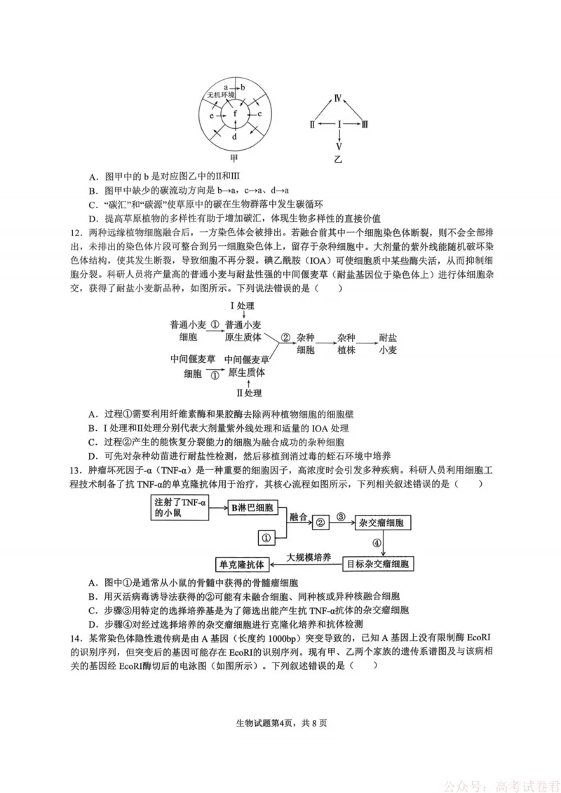 重庆市育才中学校2026届高三下学期2月开学考试生物试题_2026届重庆市育才中学高三下学期2月开学考试