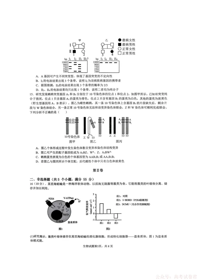 重庆市育才中学校2026届高三下学期2月开学考试生物试题_2026届重庆市育才中学高三下学期2月开学考试