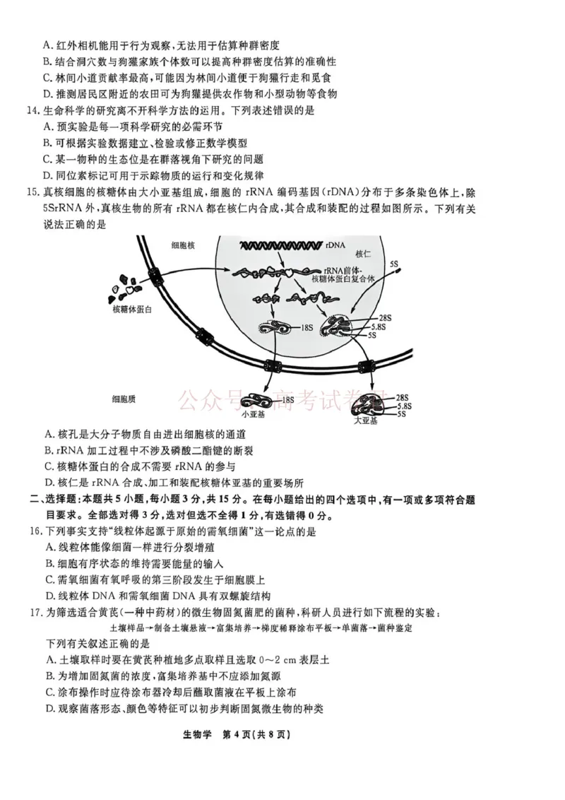 辽宁名校联盟2025-2026学年高三下学期4月模拟生物_2026年辽宁名校联盟高三下学期4月模拟考试全科_06生物_辽宁名校联盟高三下学期4月模拟考试