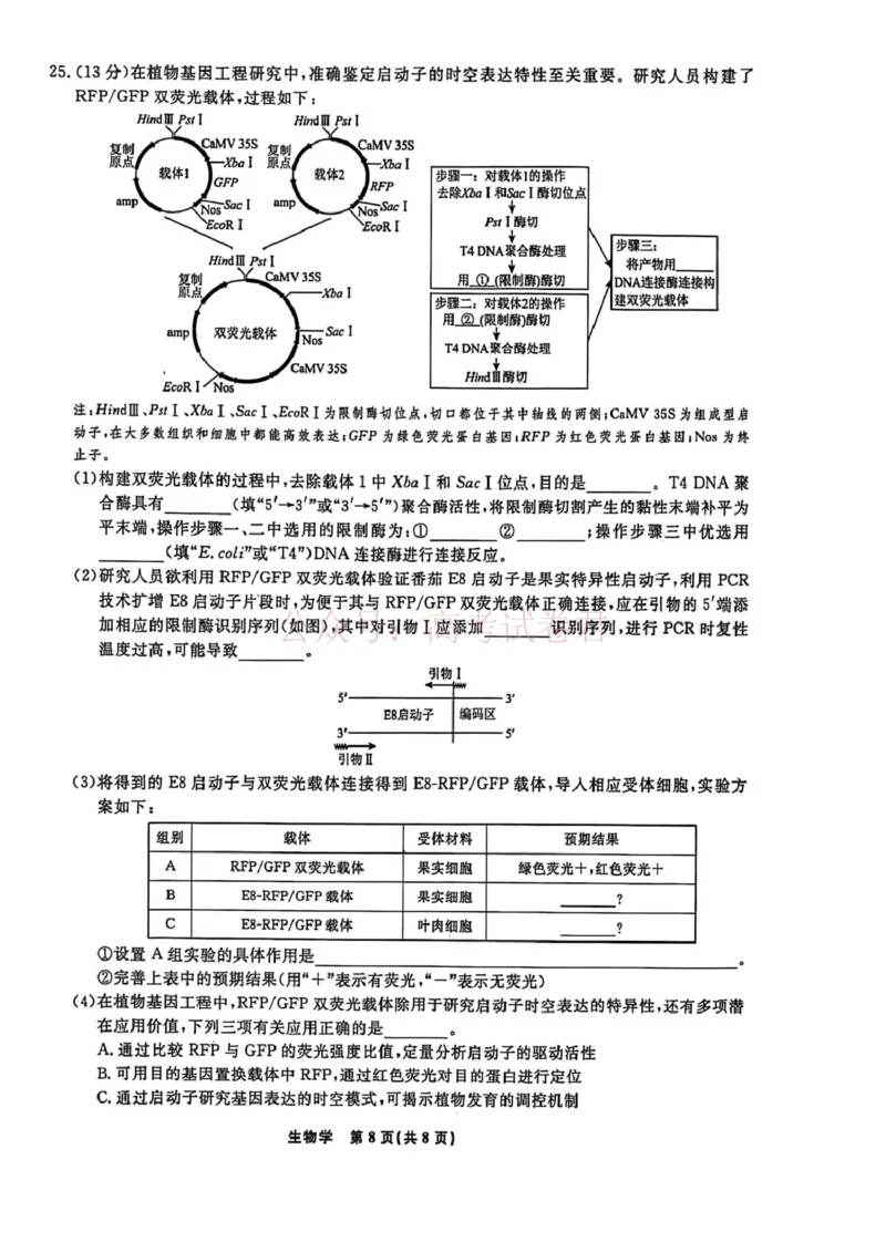 辽宁名校联盟2025-2026学年高三下学期4月模拟生物_2026年辽宁名校联盟高三下学期4月模拟考试全科_06生物_辽宁名校联盟高三下学期4月模拟考试