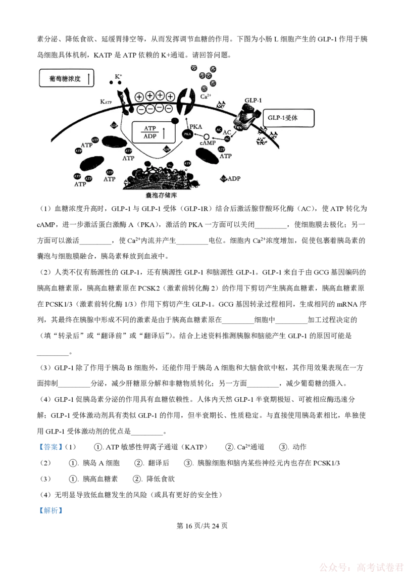 精品解析：2026届江苏省南京市六合区名校联盟高三一模生物试题（解析版）_2026届江苏南京名校联盟高三下学期一模试题_2026届江苏省南京市六合区名校联盟高三一模生物试题