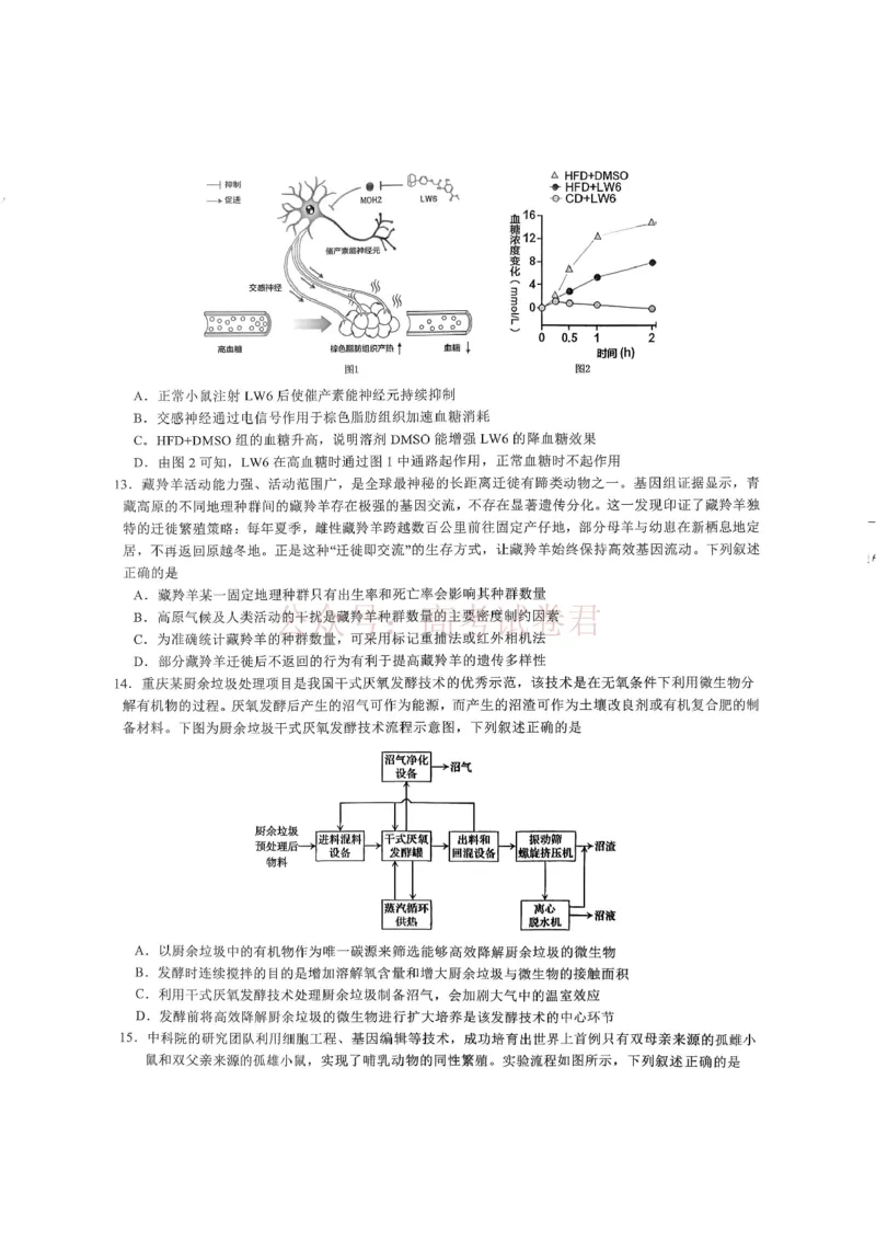 重庆育才中学高2026届高三（下）3月月考生物_副本_2026届重庆育才中学高三（下）3月月考_06生物_重庆育才中学高三（下）3月月考