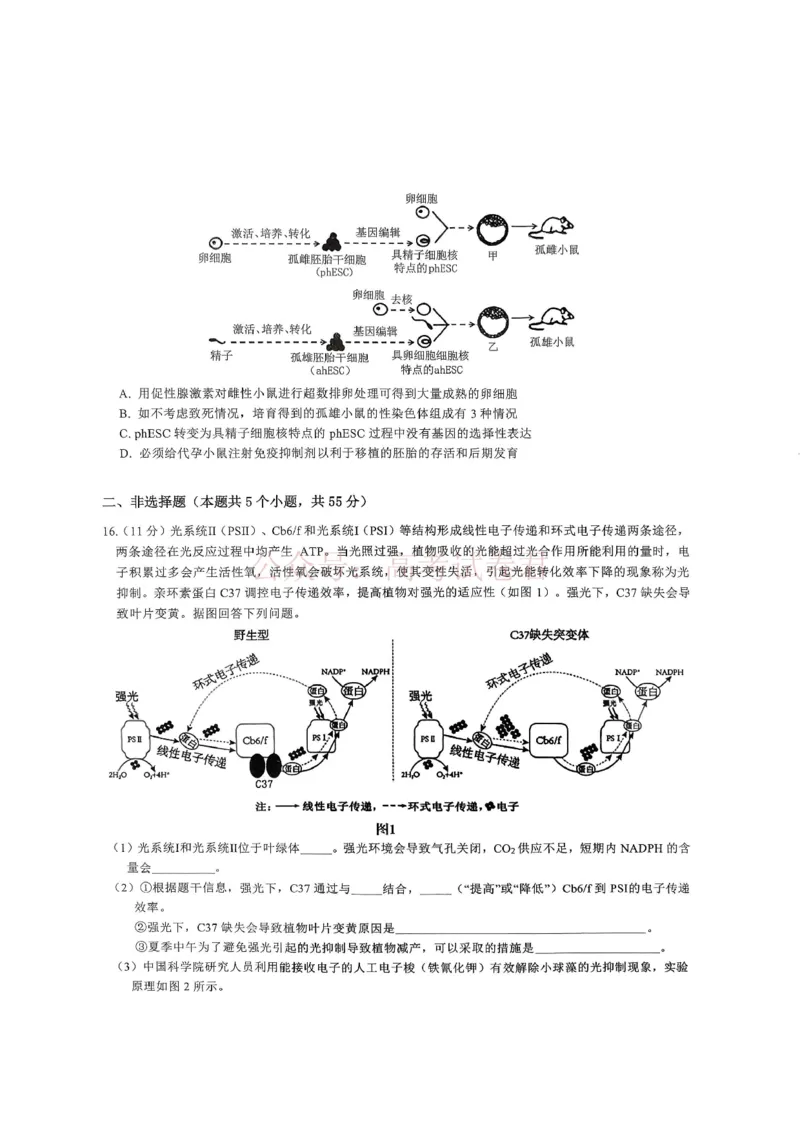 重庆育才中学高2026届高三（下）3月月考生物_副本_2026届重庆育才中学高三（下）3月月考_06生物_重庆育才中学高三（下）3月月考