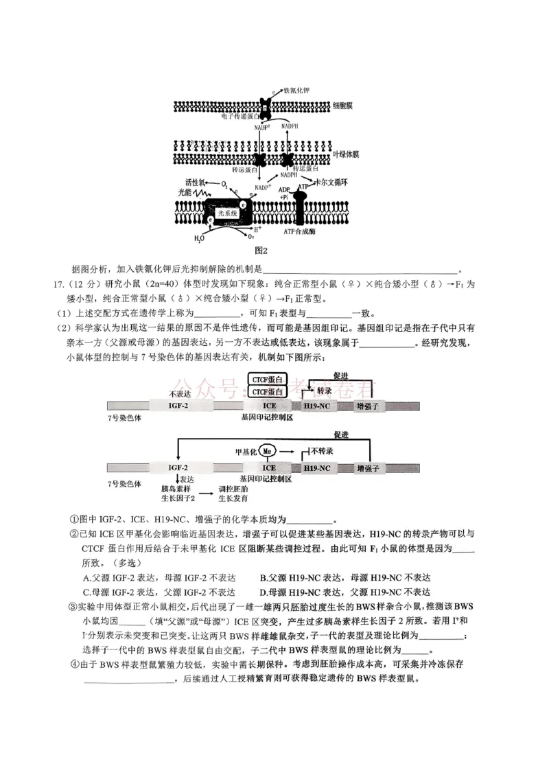 重庆育才中学高2026届高三（下）3月月考生物_副本_2026届重庆育才中学高三（下）3月月考_06生物_重庆育才中学高三（下）3月月考