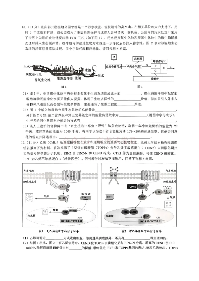 重庆育才中学高2026届高三（下）3月月考生物_副本_2026届重庆育才中学高三（下）3月月考_06生物_重庆育才中学高三（下）3月月考