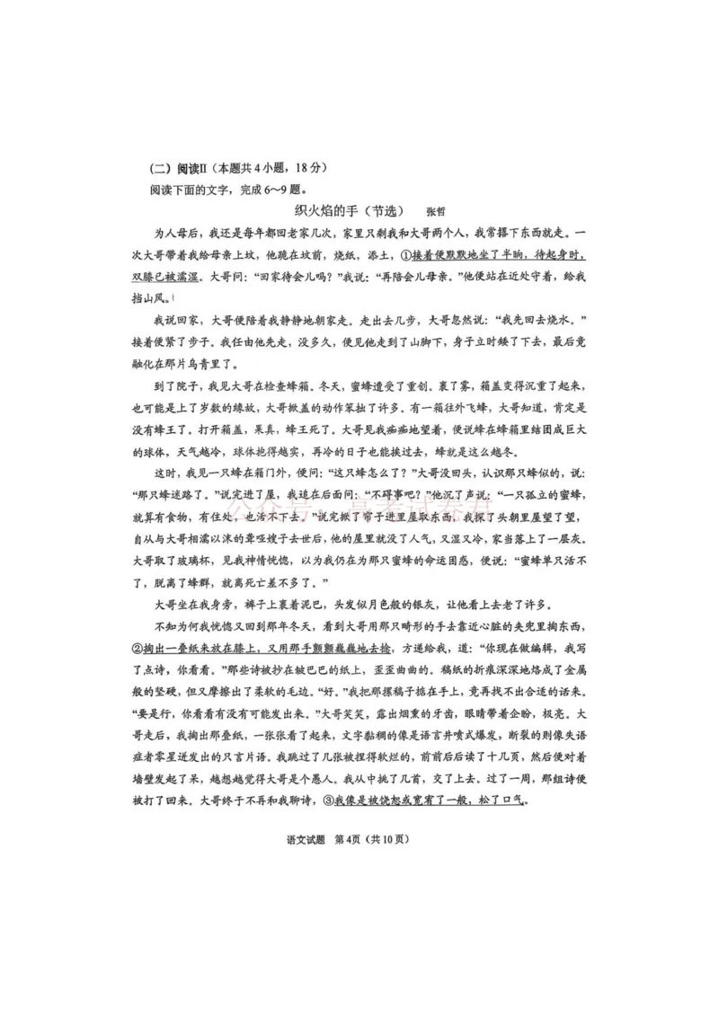 语文试题_2026届山东省青岛市高三年级第一次适应性检测_01语文2026届山东省青岛市高三年级第一次适应性检测