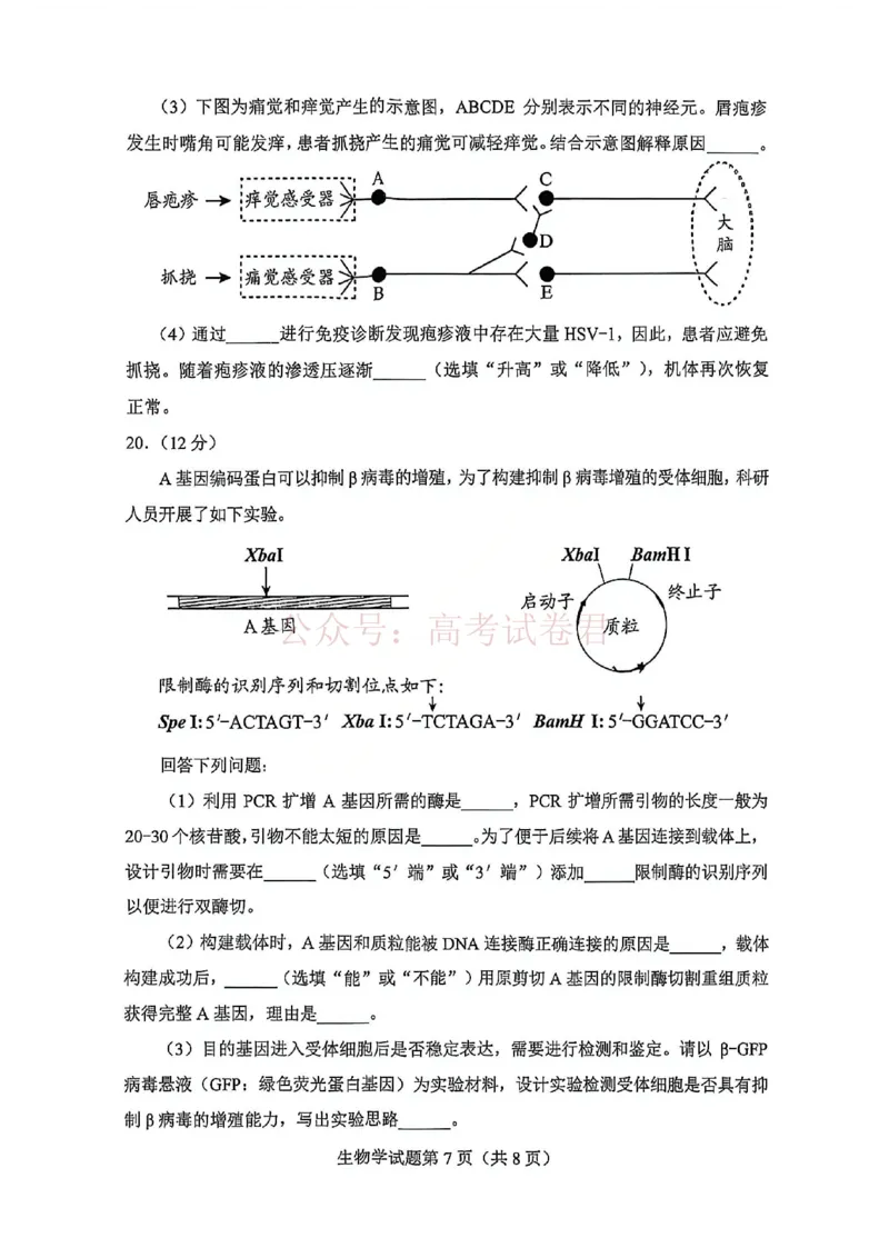 生物试卷-2026年贵州省普通高中学业水平选择性考试科目适应性测试_2026届贵州省高三4月试适应性测试_05生物_贵州省高三4月试适应性测试