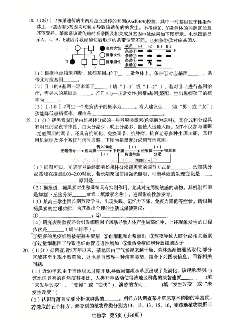 生物_2026宝鸡高考模拟检测试题(二)(1)_2026届陕西省宝鸡市高三下学期高考模拟检测试题（二）_02生物_陕西省宝鸡市高三下学期高考模拟检测试题（二）
