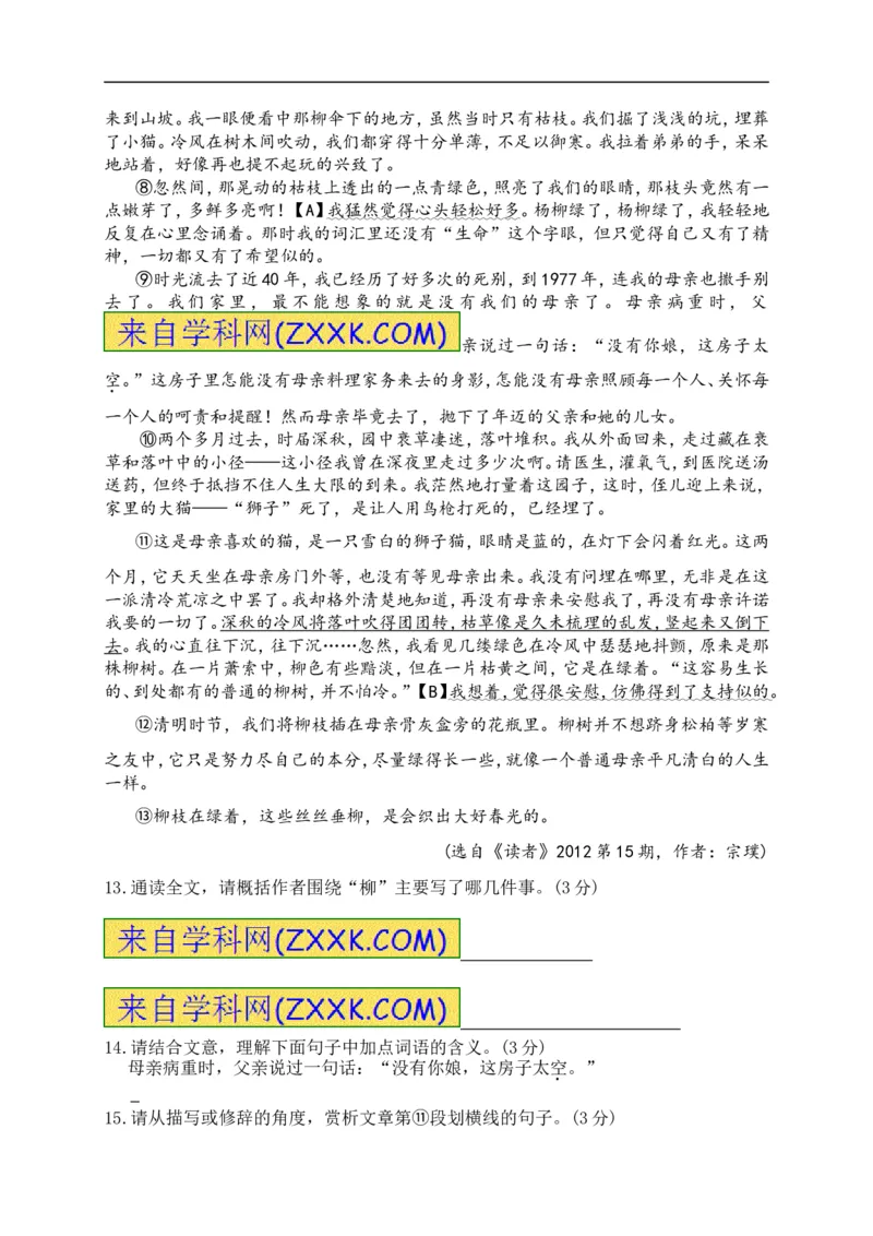 2013深圳语文试卷(word整理版)_12.2026年4月全国各地高考模拟卷_2026版初中金考卷&bull;45套中考试卷汇编系列合集_全国版中考真题(1)_各省市《历年中考真题》2013-2024(10)_12广东地区卷