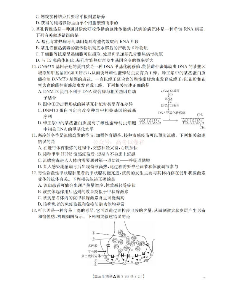 陕西省2026届高三下学期3月联考（26-287C）生物_2026届金太阳&middot;陕西省高三下学期3月联考（26-287C）_06生物2026届金太阳&middot;陕西省高三下学期3月联考（26-287C）