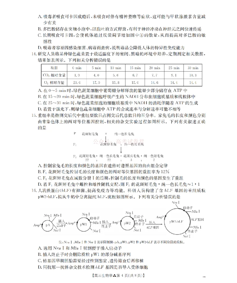 陕西省2026届高三下学期3月联考（26-287C）生物_2026届金太阳&middot;陕西省高三下学期3月联考（26-287C）_06生物2026届金太阳&middot;陕西省高三下学期3月联考（26-287C）