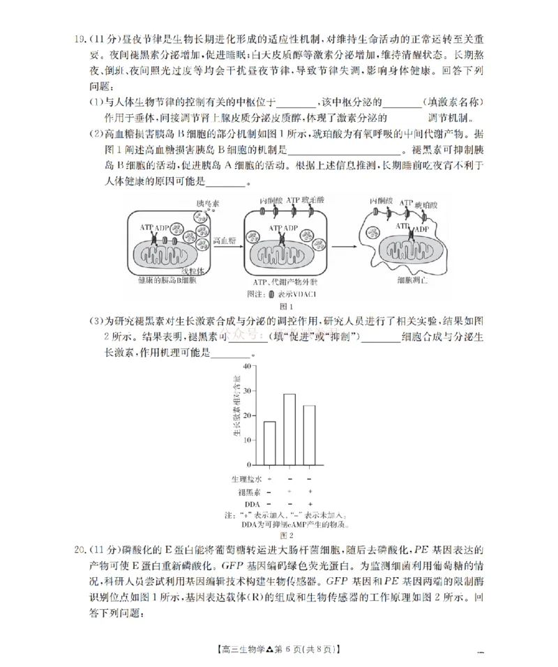 陕西省2026届高三下学期3月联考（26-287C）生物_2026届金太阳&middot;陕西省高三下学期3月联考（26-287C）_06生物2026届金太阳&middot;陕西省高三下学期3月联考（26-287C）