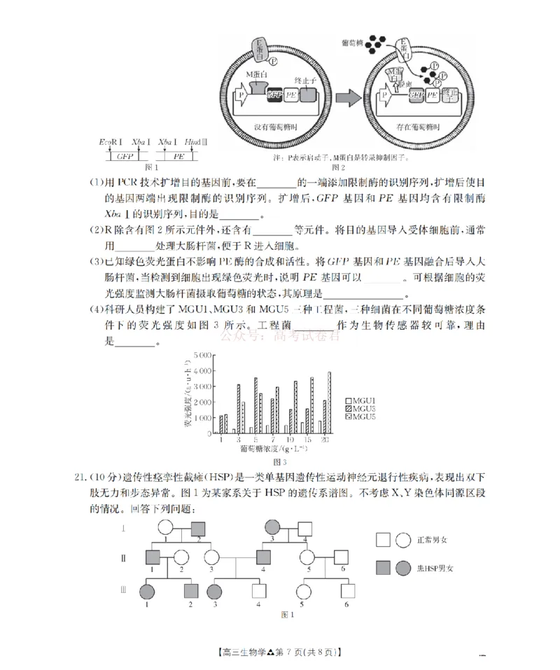 陕西省2026届高三下学期3月联考（26-287C）生物_2026届金太阳&middot;陕西省高三下学期3月联考（26-287C）_06生物2026届金太阳&middot;陕西省高三下学期3月联考（26-287C）