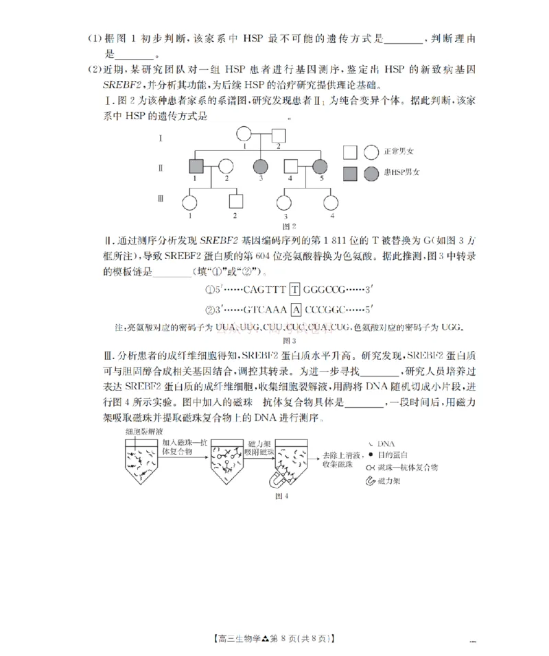 陕西省2026届高三下学期3月联考（26-287C）生物_2026届金太阳&middot;陕西省高三下学期3月联考（26-287C）_06生物2026届金太阳&middot;陕西省高三下学期3月联考（26-287C）