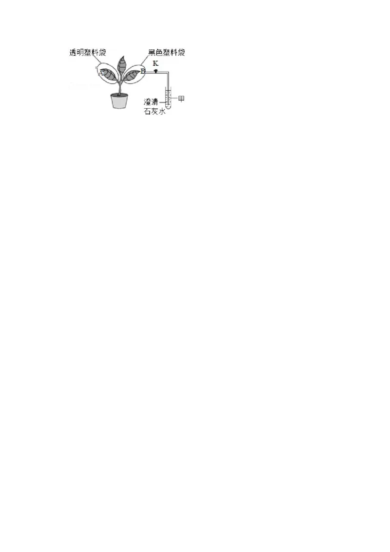 2016年辽宁省盘锦市中考生物试卷（空白卷）_2026版初中金考卷&bull;45套中考试卷汇编系列合集_全国版中考真题(1)_辽宁各地中考_辽宁生物（24）_盘锦生物2016-2022