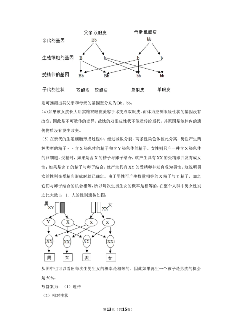 2016年辽宁省盘锦市中考生物试卷（解析）_2026版初中金考卷&bull;45套中考试卷汇编系列合集_全国版中考真题(1)_辽宁各地中考_辽宁生物（24）_盘锦生物2016-2022