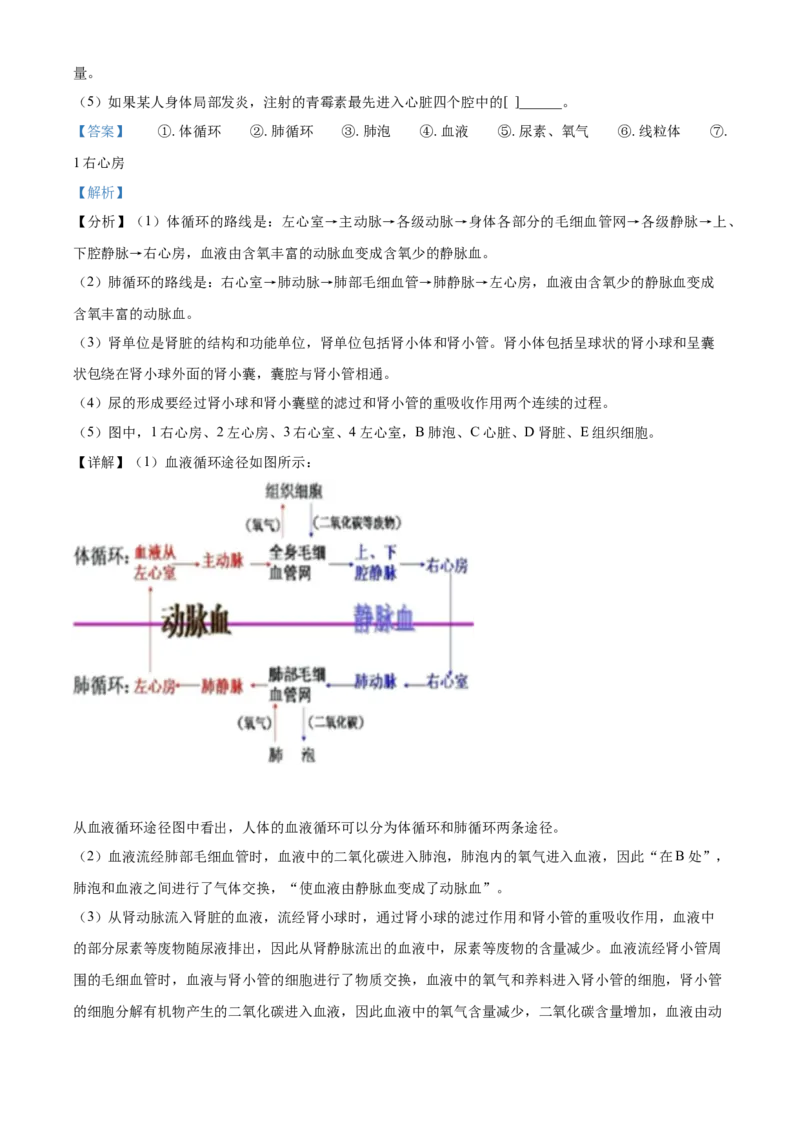 2016年辽宁省营口市中考生物试题（解析）_2026版初中金考卷&bull;45套中考试卷汇编系列合集_全国版中考真题(1)_辽宁各地中考_辽宁生物（24）_营口生物15-22