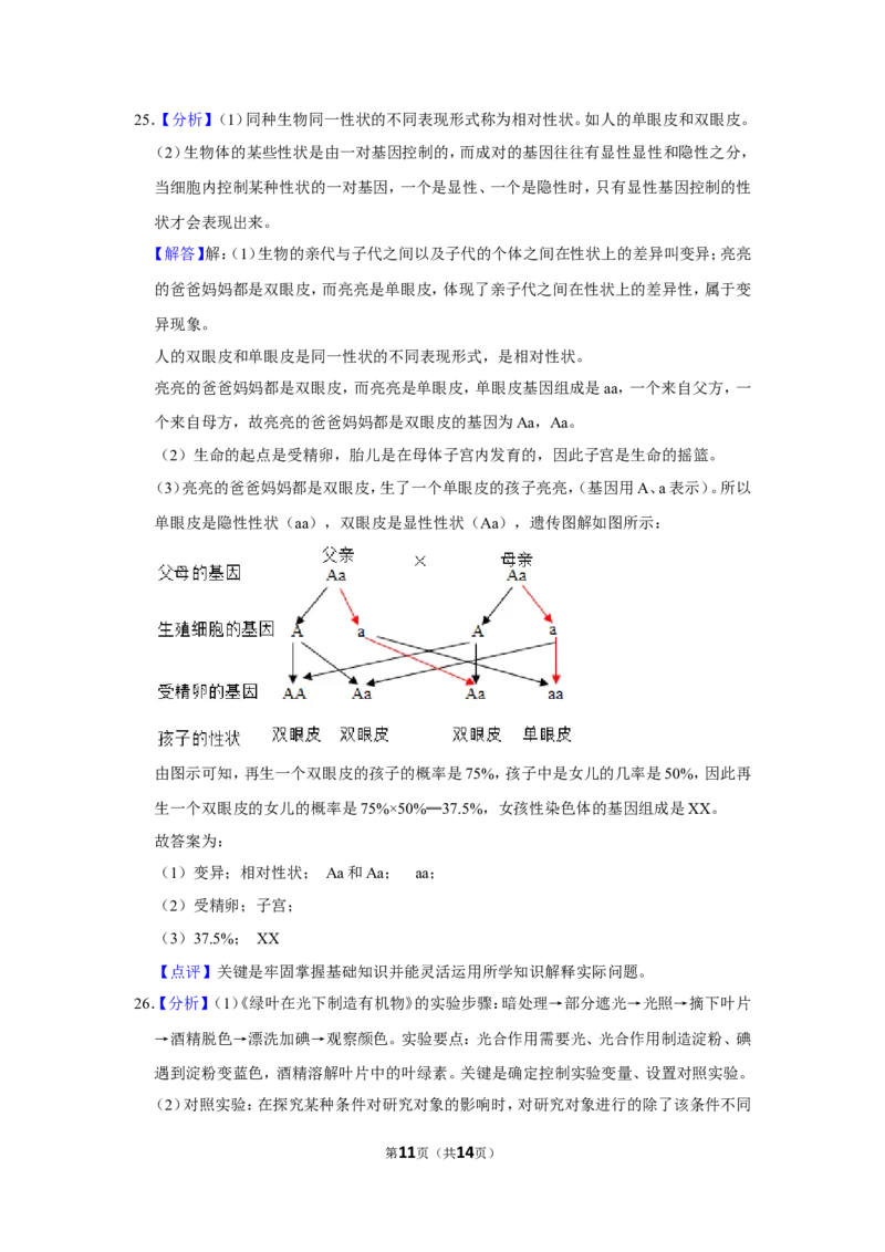 2017年辽宁省锦州市中考生物试题（解析）_2026版初中金考卷&bull;45套中考试卷汇编系列合集_全国版中考真题(1)_辽宁各地中考_辽宁生物（24）_锦州生物15-21缺16