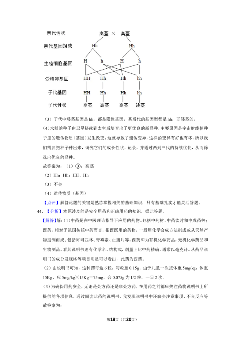 2017年辽宁省铁岭市中考生物试题（解析）_2026版初中金考卷&bull;45套中考试卷汇编系列合集_全国版中考真题(1)_辽宁各地中考_辽宁生物（24）_铁岭生物17-22
