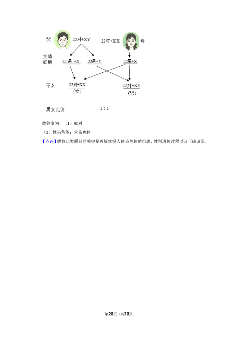 2017年辽宁省铁岭市中考生物试题（解析）_2026版初中金考卷&bull;45套中考试卷汇编系列合集_全国版中考真题(1)_辽宁各地中考_辽宁生物（24）_铁岭生物17-22