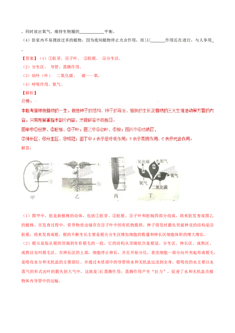 2017年辽宁省鞍山市中考生物试题（解析）_2026版初中金考卷&bull;45套中考试卷汇编系列合集_全国版中考真题_辽宁各地中考_辽宁生物（24）_鞍山生物2017-22