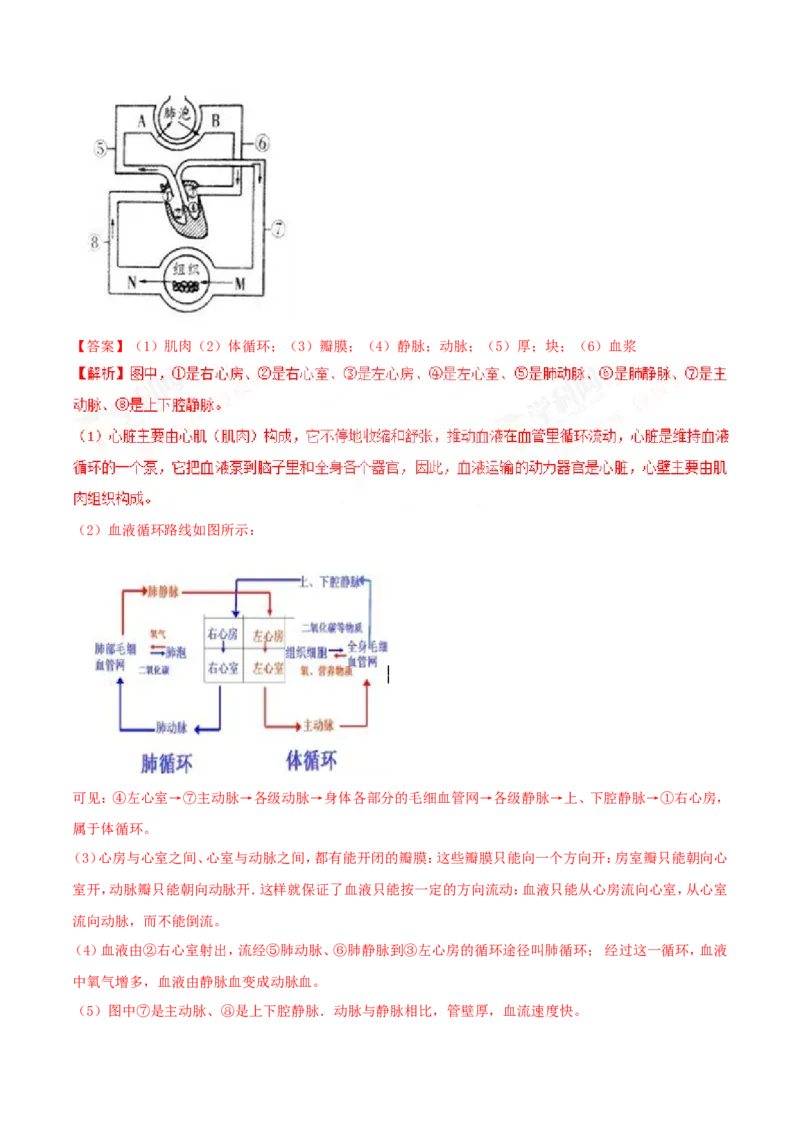 2017年辽宁省营口市中考生物试题（解析）_2026版初中金考卷&bull;45套中考试卷汇编系列合集_全国版中考真题(1)_辽宁各地中考_辽宁生物（24）_营口生物15-22