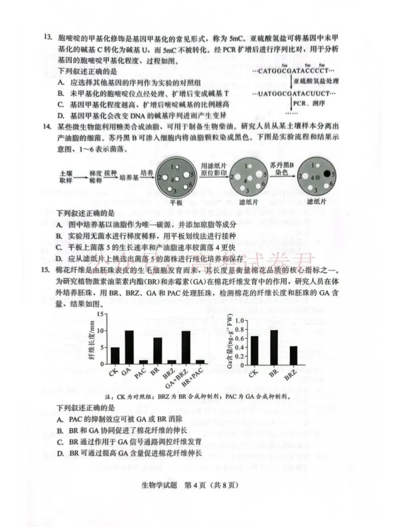 《厦门市2026届高中毕业班模拟测试生物_副本_2026届福建厦门市高三第二次质量检测全科_06生物_福建厦门市高三第二次质量检测》第4页预览