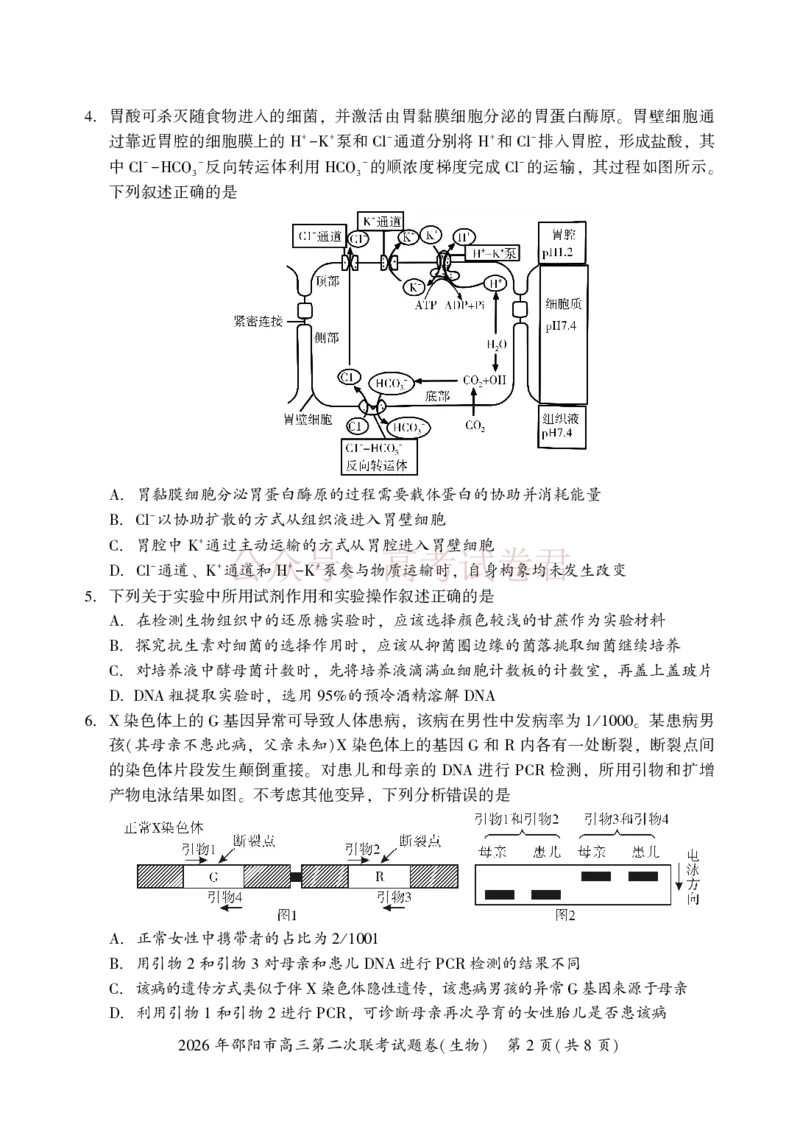 《2026年邵阳市高三第二次联考试题生物_2026届湖南省邵阳市高三第二次联考_06生物_湖南省邵阳市高三第二次联考》第2页预览