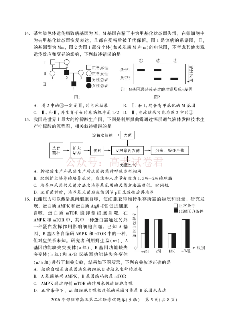 《2026年邵阳市高三第二次联考试题生物_2026届湖南省邵阳市高三第二次联考_06生物_湖南省邵阳市高三第二次联考》第5页预览