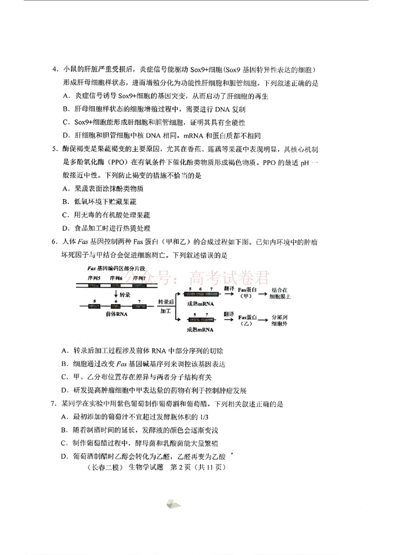 《吉林省长春市2026届高三质量监测（二）生物_2026届吉林省长春市高三质量监测（二）全科_06生物_吉林省长春市高三质量监测（二）》第2页预览