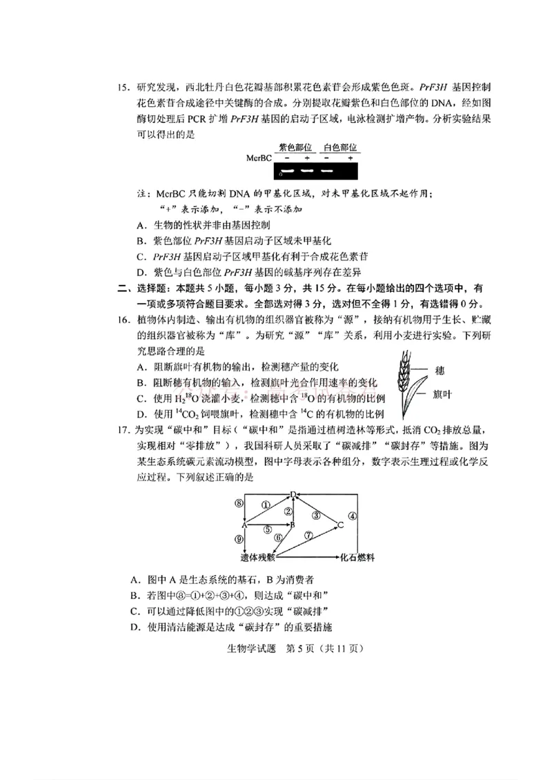 《吉林省长春市2026届高三质量监测（二）生物_2026届吉林省长春市高三质量监测（二）全科_06生物_吉林省长春市高三质量监测（二）》第5页预览