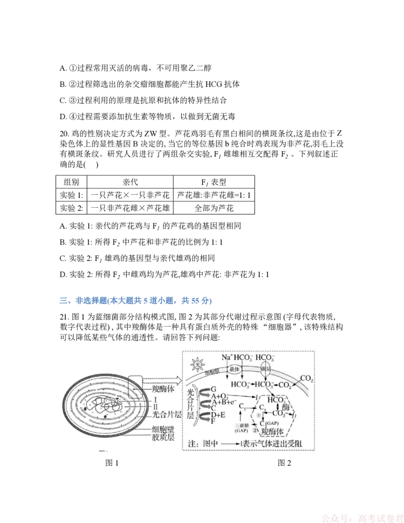 《吉林省通化市梅河口市第五中学2025-2026学年高三下学期开学考试生物试卷（含答案）_2026届吉林通化梅河口市五中年高三下学期开学考试(1)》第7页预览