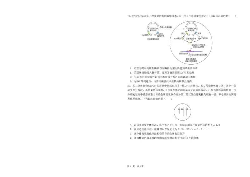 《哈尔滨市第一中学、第六中学2026年2月高三零模模拟考试生物_2026届黑龙江省哈尔滨一中六中高三2月零模考试》第6页预览