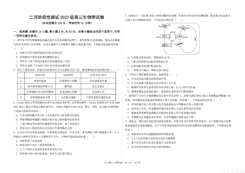 《哈尔滨市第一中学、第六中学2026年2月高三零模模拟考试生物_2026届黑龙江省哈尔滨市第一中学、第六中学2026年2月高三零模模拟考试(1)》第1页预览