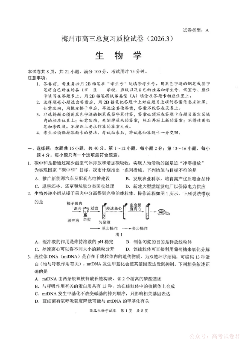 《广东省梅州市2026届高三下学期一模生物试题（含答案）_2026届广东梅州市高三下学期一模》第1页预览