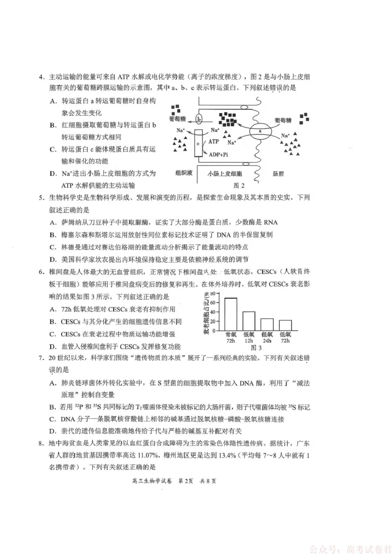 《广东省梅州市2026届高三下学期一模生物试题（含答案）_2026届广东梅州市高三下学期一模》第2页预览