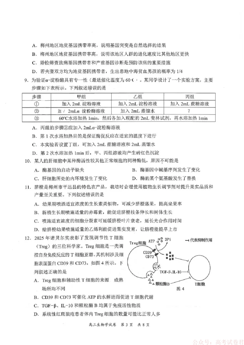 《广东省梅州市2026届高三下学期一模生物试题（含答案）_2026届广东梅州市高三下学期一模》第3页预览