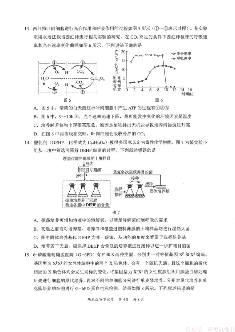 《广东省梅州市2026届高三下学期一模生物试题（含答案）_2026届广东梅州市高三下学期一模》第4页预览
