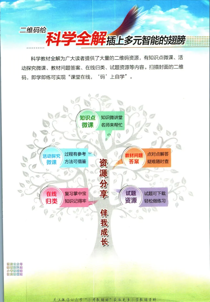 《小学教材全解四年级下册科学教科版_薛金星小学教材全解(1)_4.四年级》第3页预览