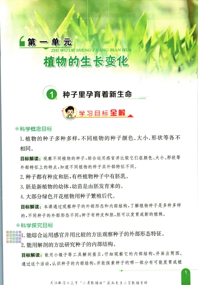 《小学教材全解四年级下册科学教科版_薛金星小学教材全解(1)_4.四年级》第9页预览