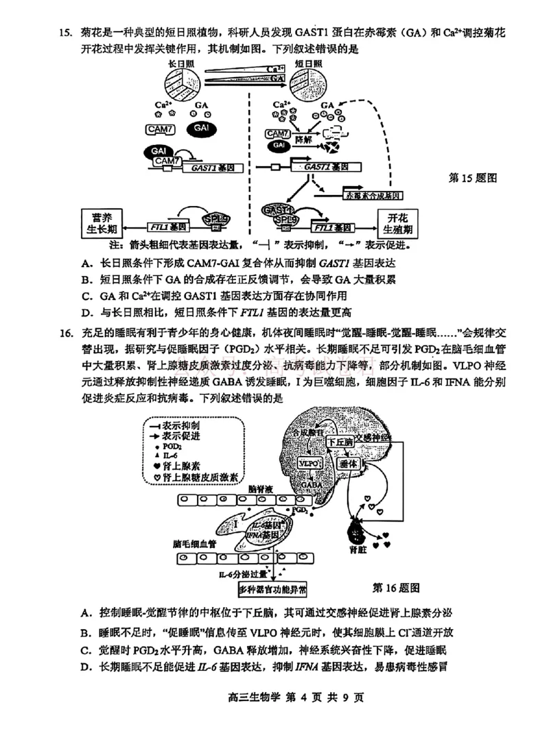 《东莞市2026年高三年级模拟考试生物_副本_2026届广东省东莞市高三3月模拟考试（东莞一模）_06生物_广东省东莞市高三3月模拟考试（东莞一模）》第4页预览