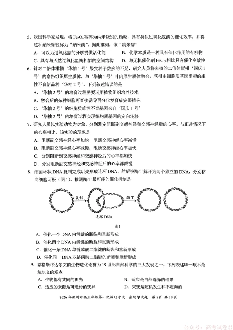 《2026年深圳市高三年级第一次调研考试生物试卷_2026届广东深圳高三下学期第一次调研考试（深圳一模）_2026年深圳市高三年级第一次调研考试生物试卷+答案》第2页预览
