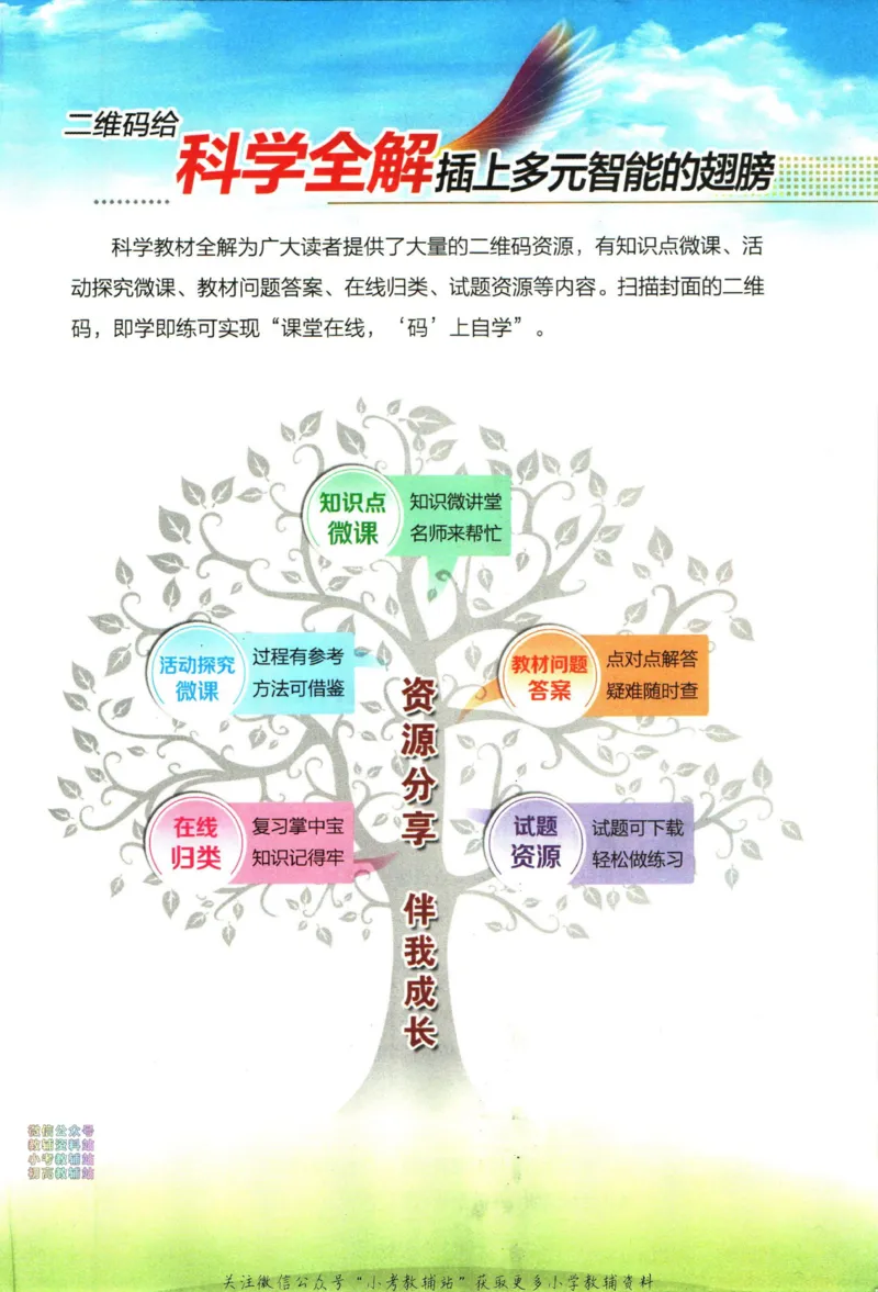 《小学教材全解六年级下册科学教科版_薛金星小学教材全解(1)_6.六年级》第3页预览
