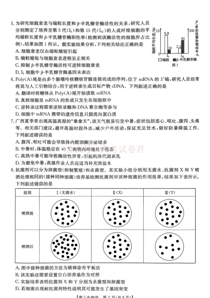 《南宁市2026届普通高中毕业班第二次适应性测试生物_2026届广西省南宁市高三第二次适应性测试全科_06生物_广西省南宁市高三第二次适应性测试》第2页预览