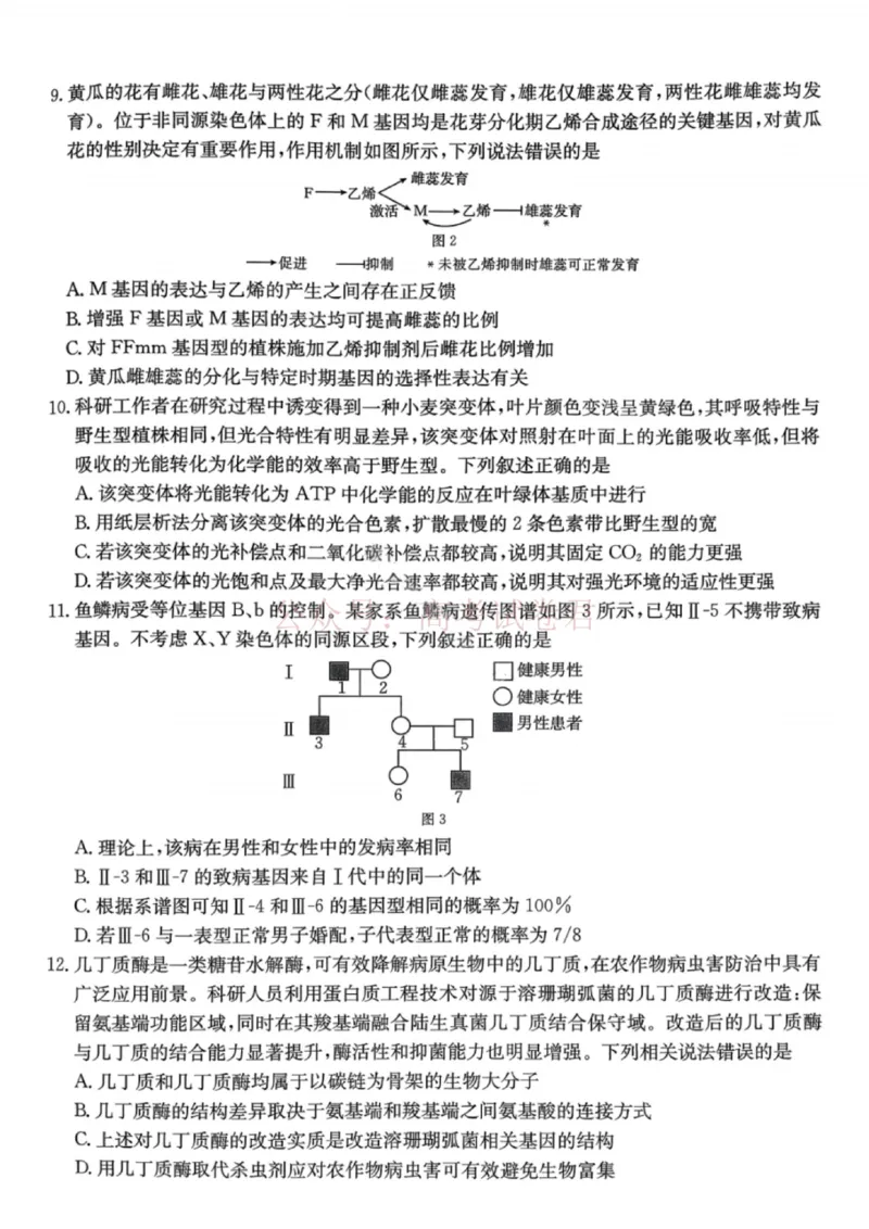 《南宁市2026届普通高中毕业班第二次适应性测试生物_2026届广西省南宁市高三第二次适应性测试全科_06生物_广西省南宁市高三第二次适应性测试》第3页预览