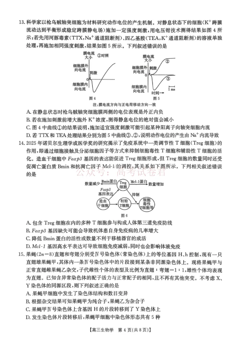 《南宁市2026届普通高中毕业班第二次适应性测试生物_2026届广西省南宁市高三第二次适应性测试全科_06生物_广西省南宁市高三第二次适应性测试》第4页预览