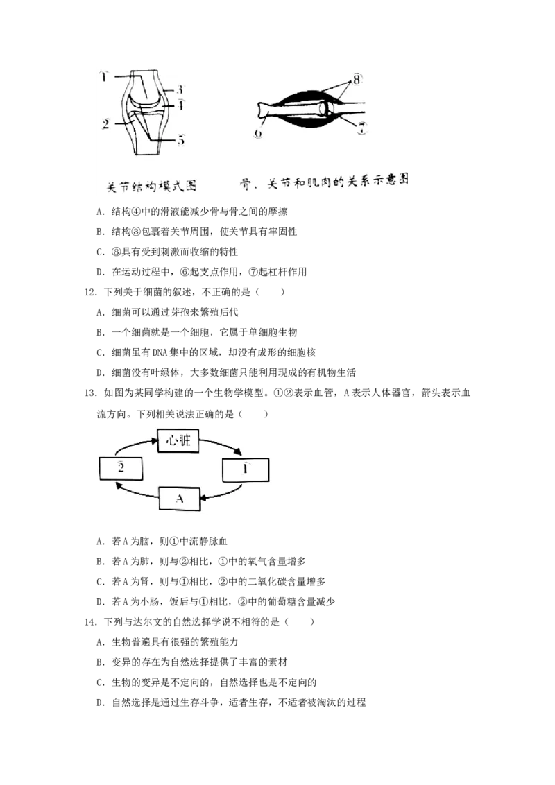 《2021年辽宁省营口市中考生物试题（空白卷）_12.2026年4月全国各地高考模拟卷_2026版初中金考卷•45套中考试卷汇编系列合集_全国版中考真题(1)_辽宁各地中考_辽宁生物（24）》第3页预览